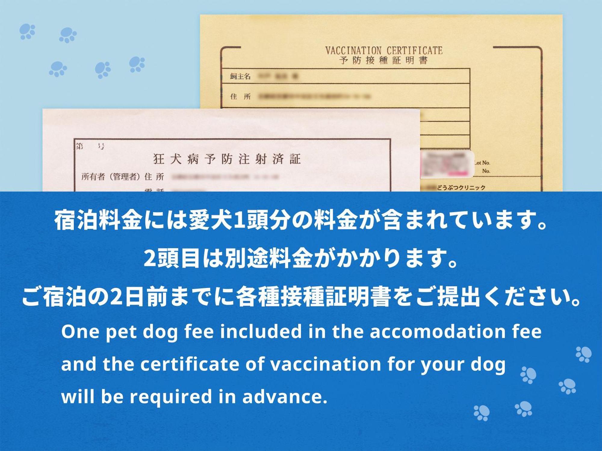 Hotel Anddoggy Kyoto Nijo Pokój zdjęcie