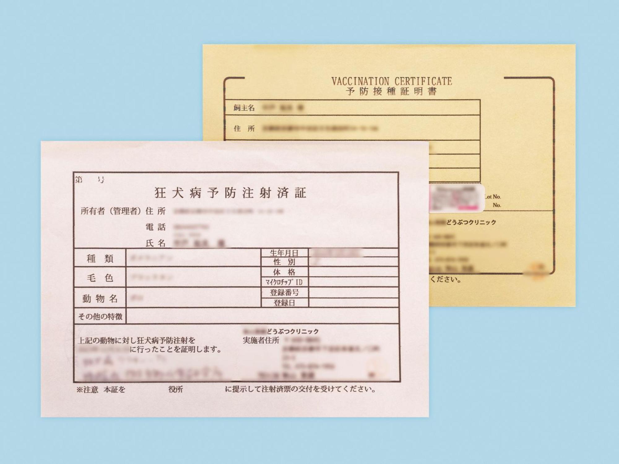 Hotel Anddoggy Kyoto Nijo Zewnętrze zdjęcie