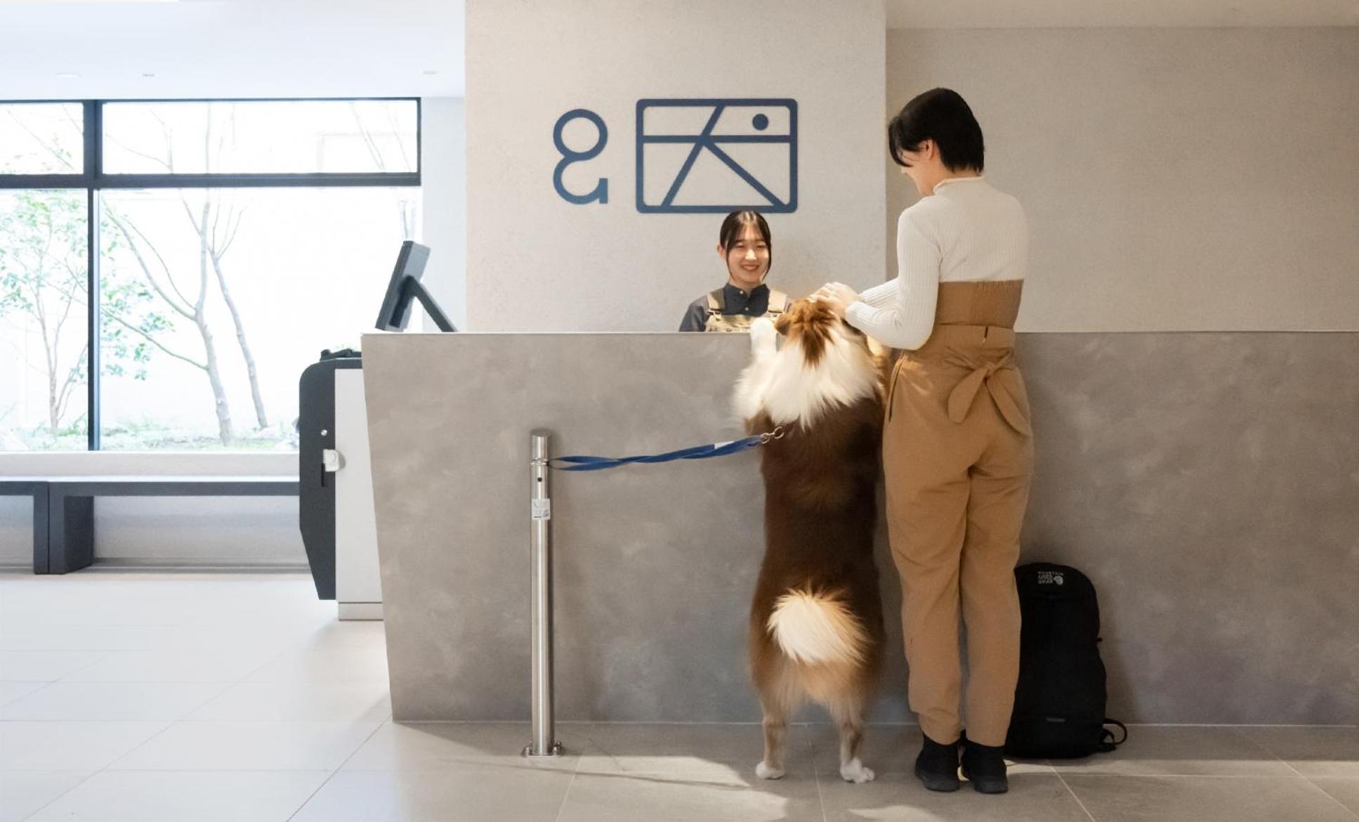 Hotel Anddoggy Kyoto Nijo Zewnętrze zdjęcie