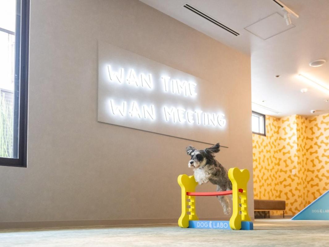 Hotel Anddoggy Kyoto Nijo Zewnętrze zdjęcie