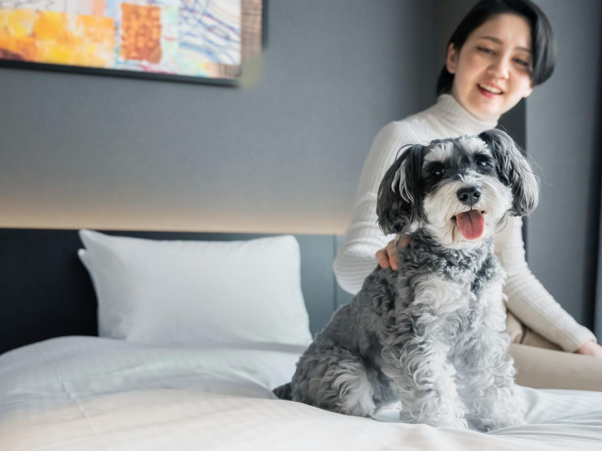 Hotel Anddoggy Kyoto Nijo Zewnętrze zdjęcie