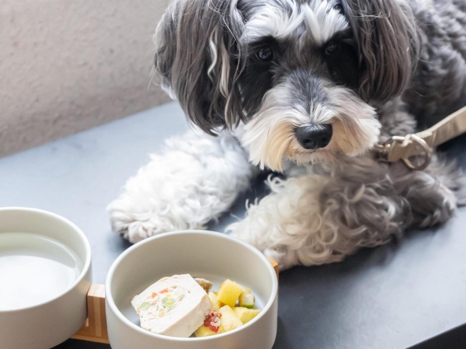 Hotel Anddoggy Kyoto Nijo Zewnętrze zdjęcie