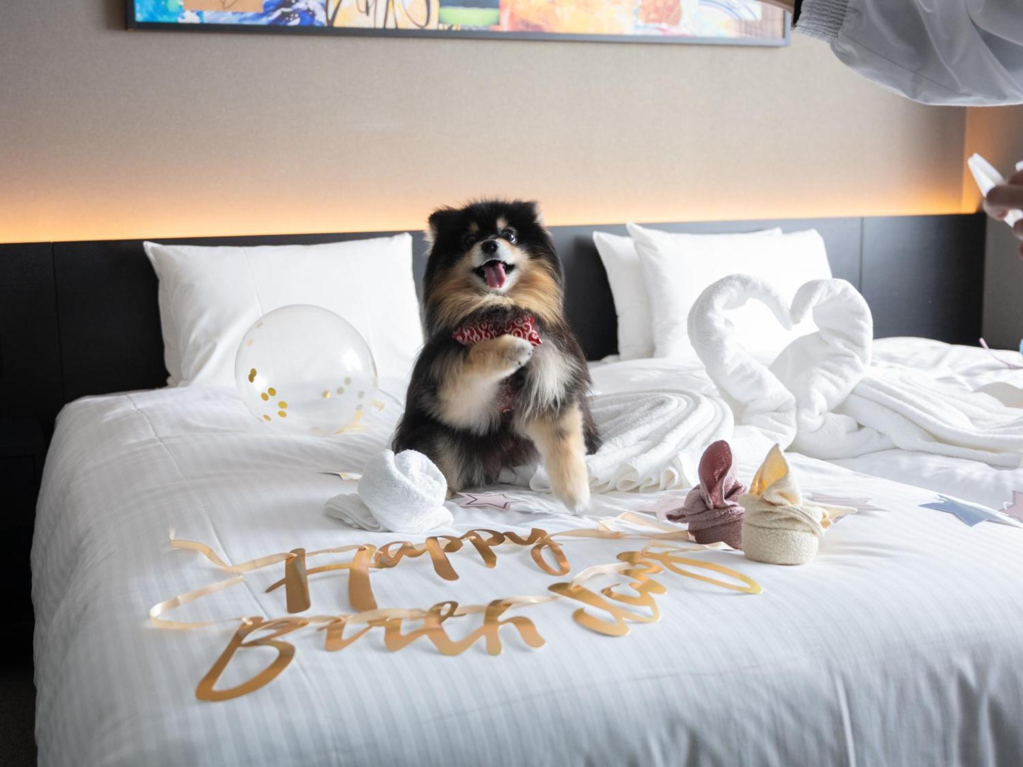 Hotel Anddoggy Kyoto Nijo Zewnętrze zdjęcie